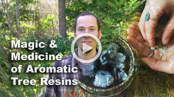 The Magic & Medicine of Aromatic Tree Resins