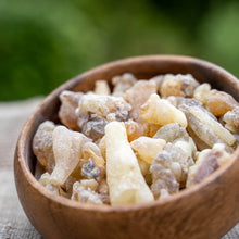Load image into Gallery viewer, Frankincense Resin - Boswellia carterii