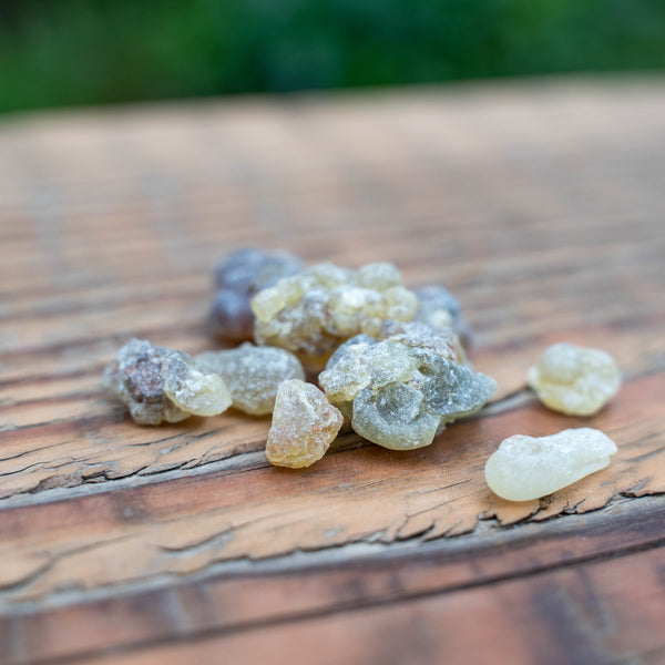 Frankincense: The Incense Known Around the World