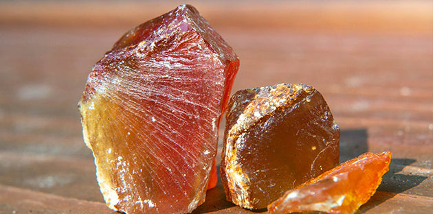 Copal Plant Profile – Ancient Incense & Mystical Medicine
